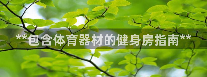 江苏星奥娱乐有限公司