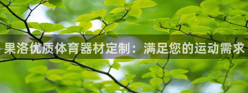 星欧娱乐测速软件下载：果洛优质体育器材定制：满足您的